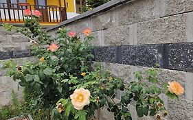 Casa Raduly - Apartament Demisol